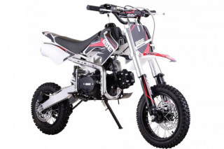 Питбайк BSE EVO 110 14/12 2019 (ЗЕЛЕНЫЙ / КРАСНЫЙ)
